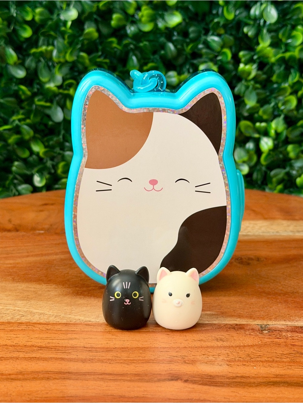 Squish-a-longs by Squishmallows Black & White Cat Bundle